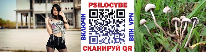 Галлюциногенные грибы Psilocybine cubensis  Николаевск-на-Амуре 